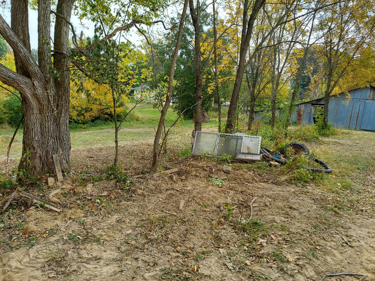 20201010_123038.jpg