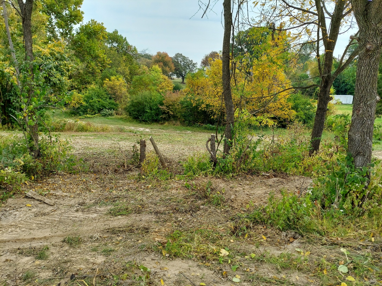 20201010_123109.jpg