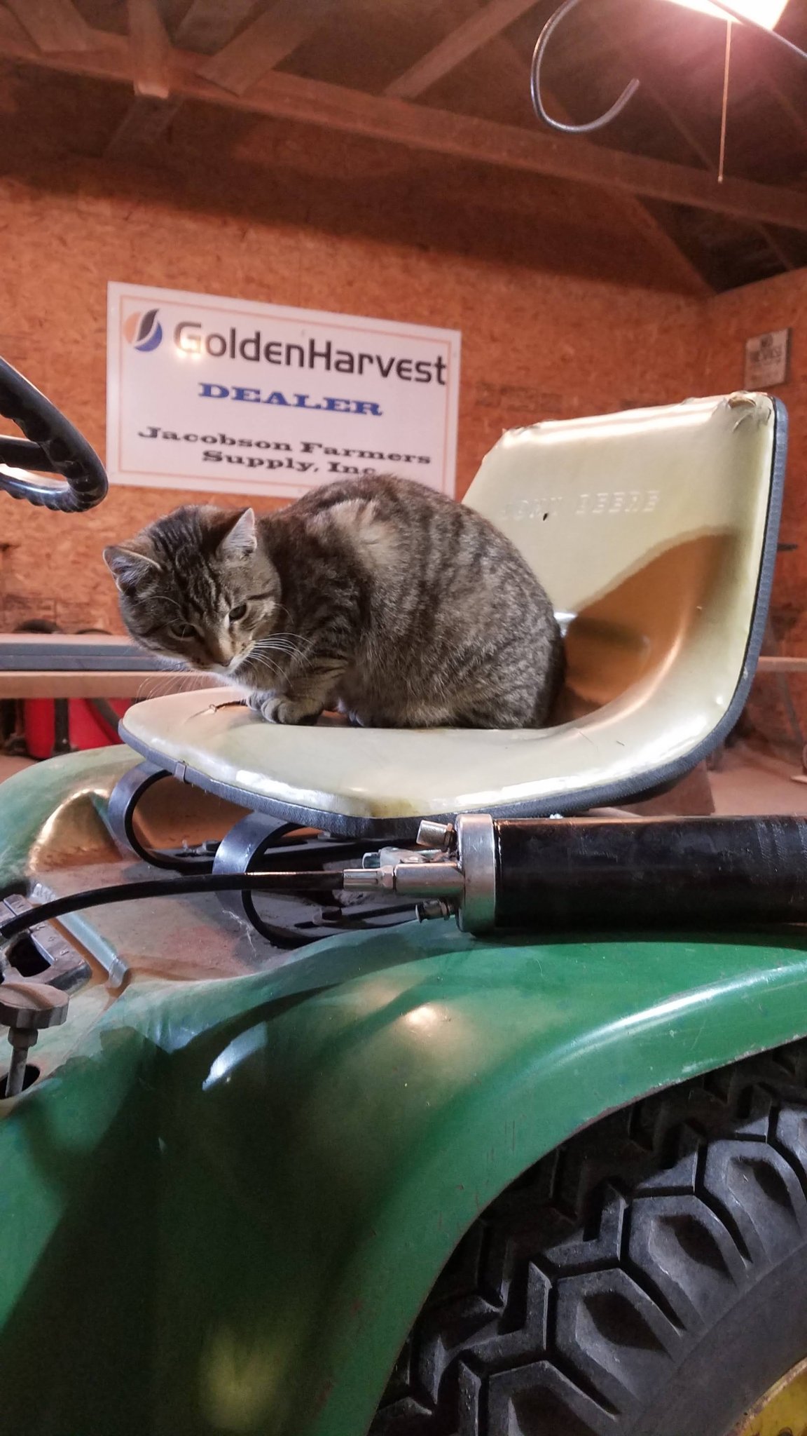 20201204_202259.jpg