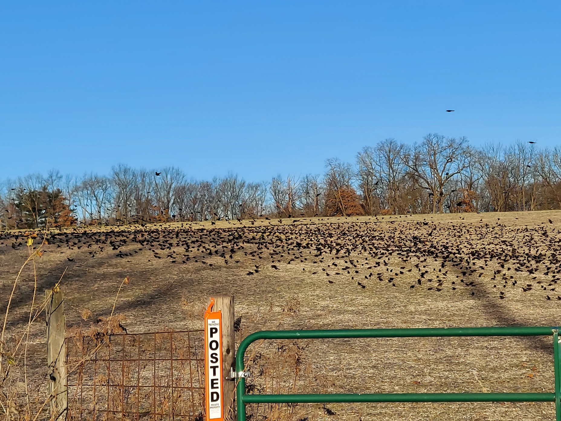 20201221_082904.jpg