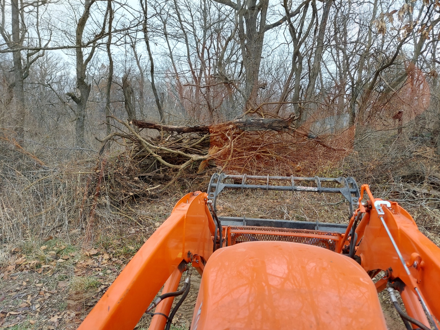 20201228_095322.jpg