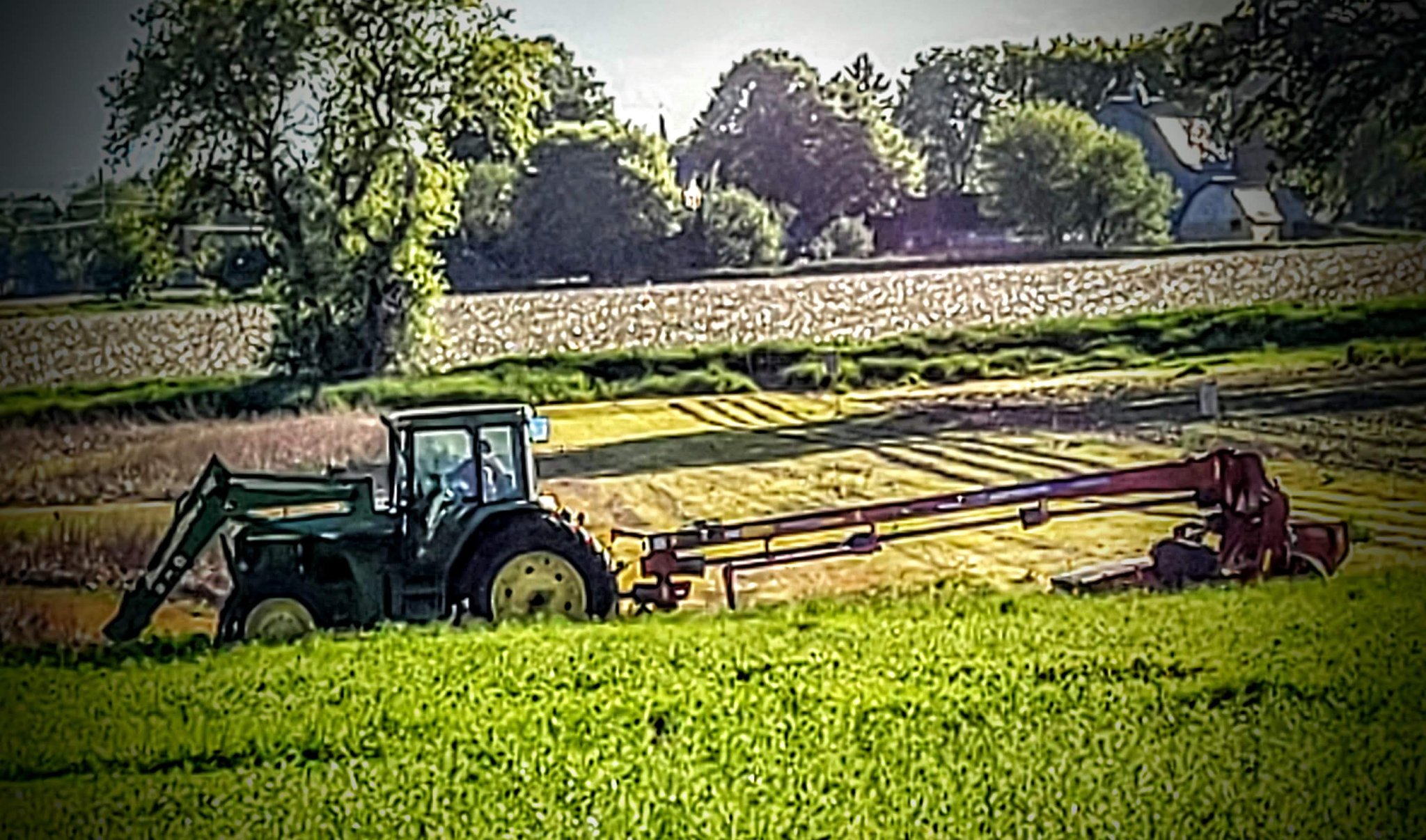 20210601_184429~2.jpg