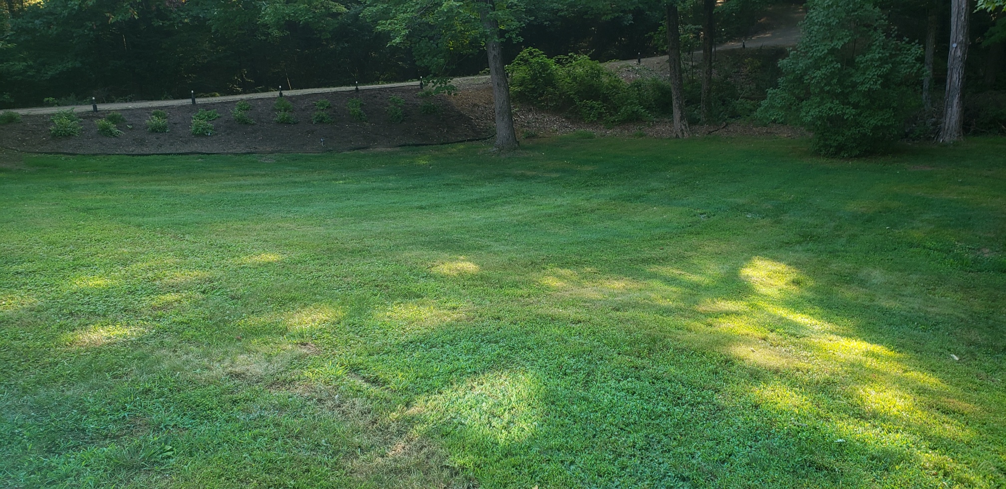 20210813_173221_resized.jpg