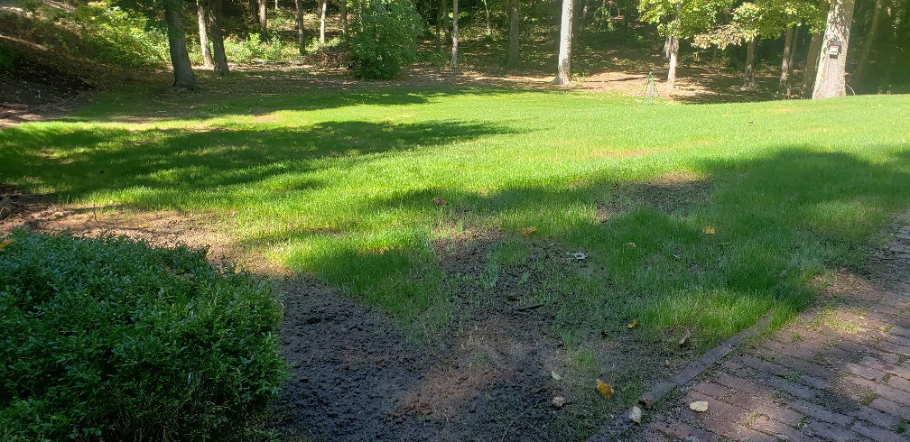 20210926_124232_resized.jpg