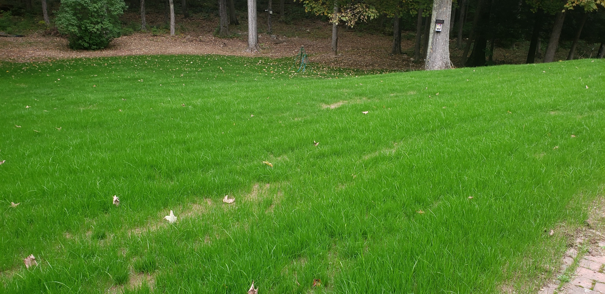 20211003_155133_resized.jpg