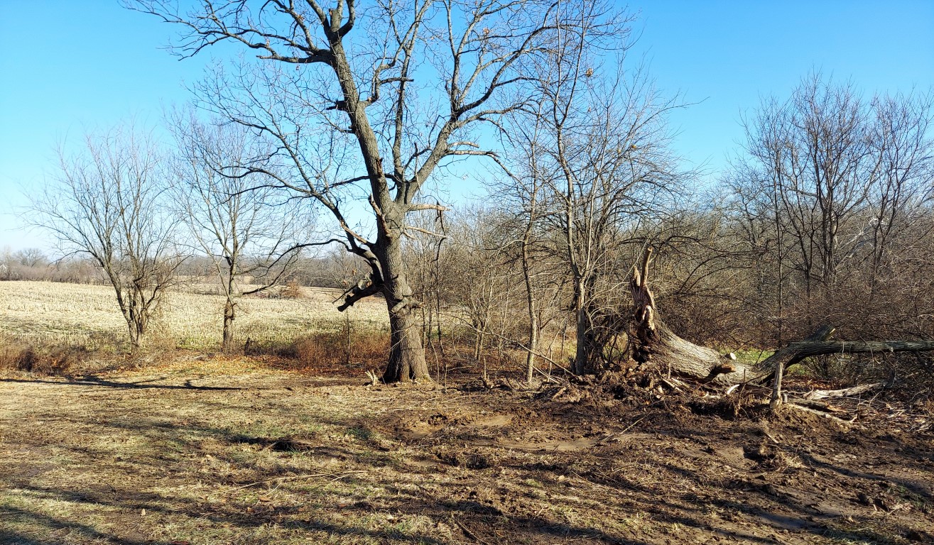 20211220_111749 (Medium).jpg