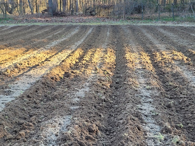 20220313_175449.jpg
