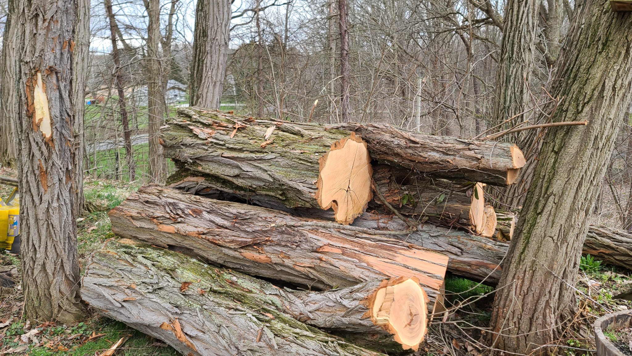 20220409_152007.jpg