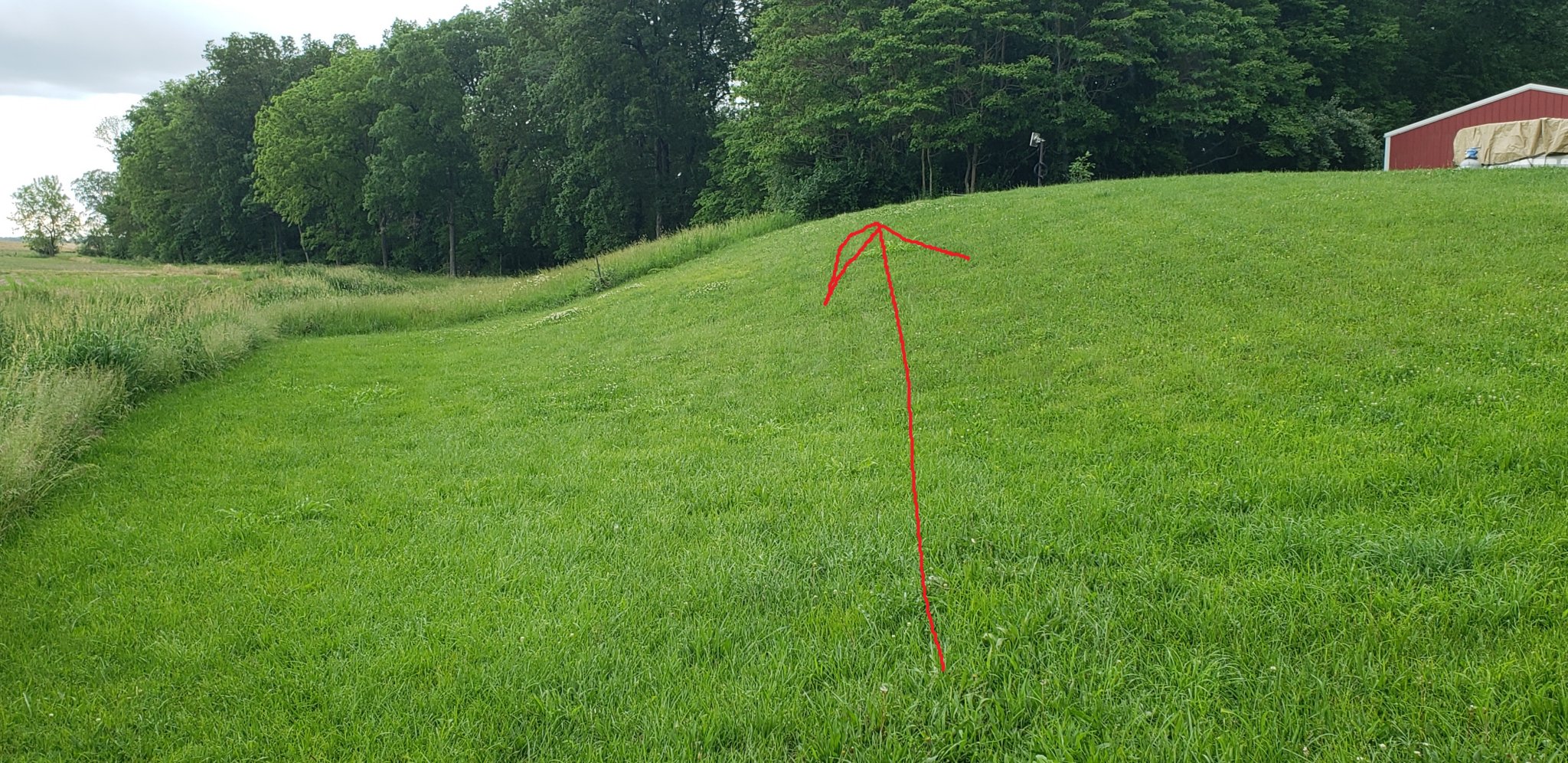 20220525_173155.jpg