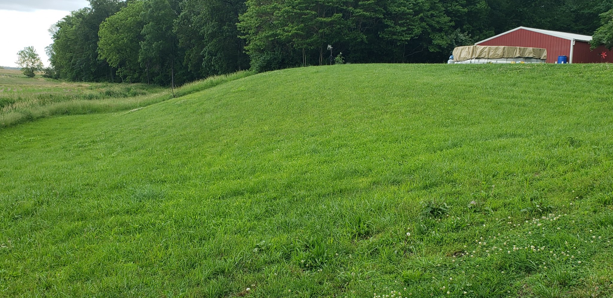 20220525_173217.jpg
