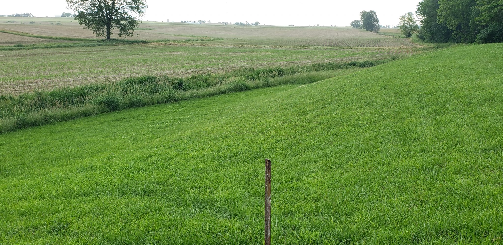 20220525_173230.jpg