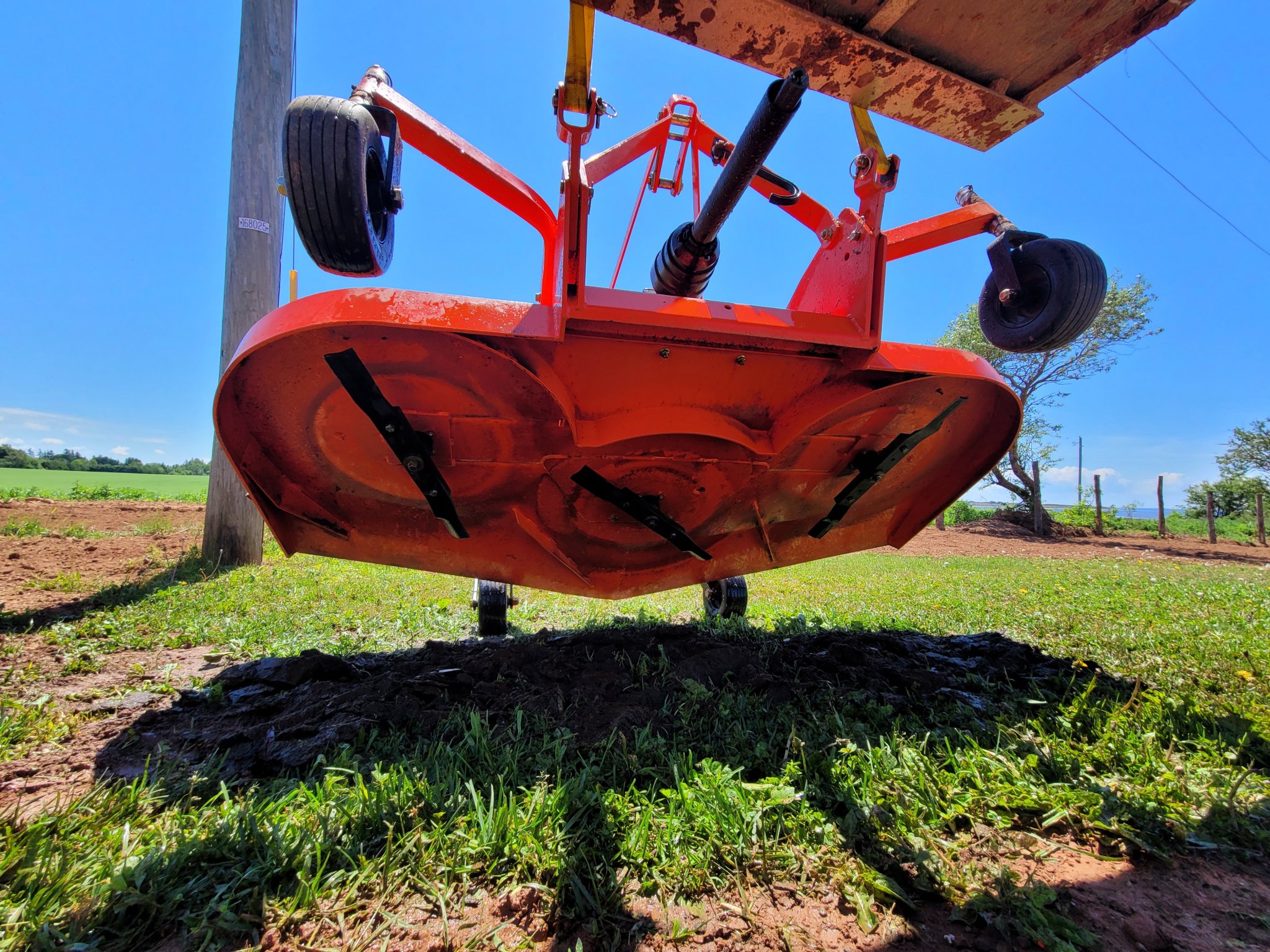 20220612_130129.jpg