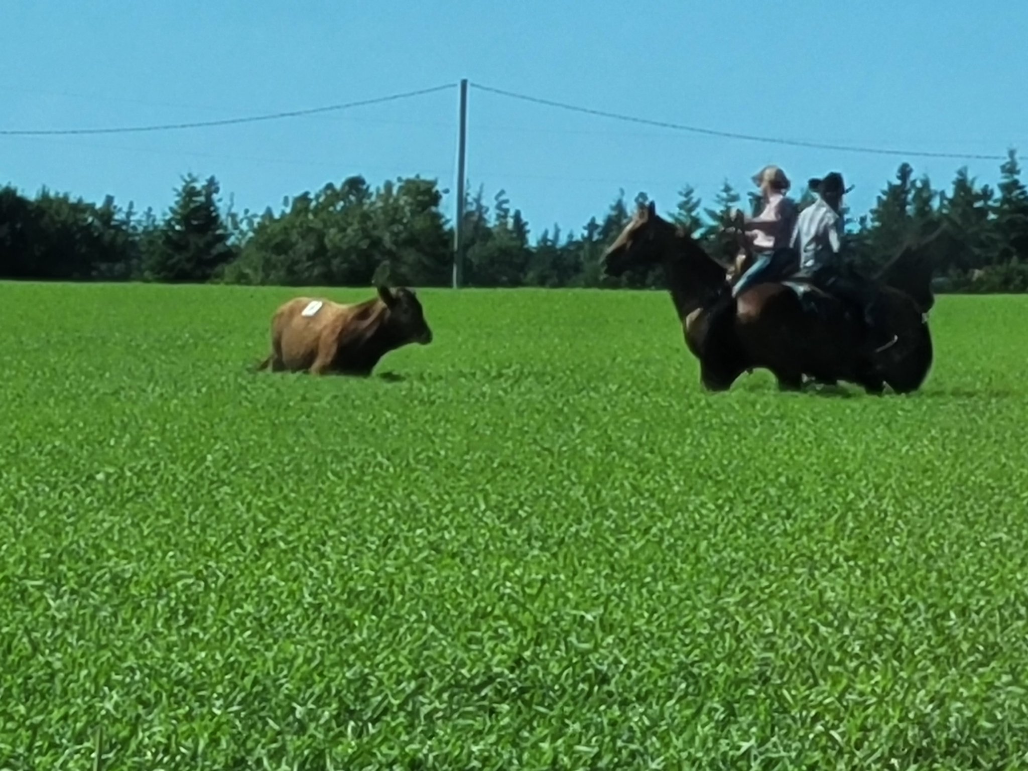 20220709_164733.jpg