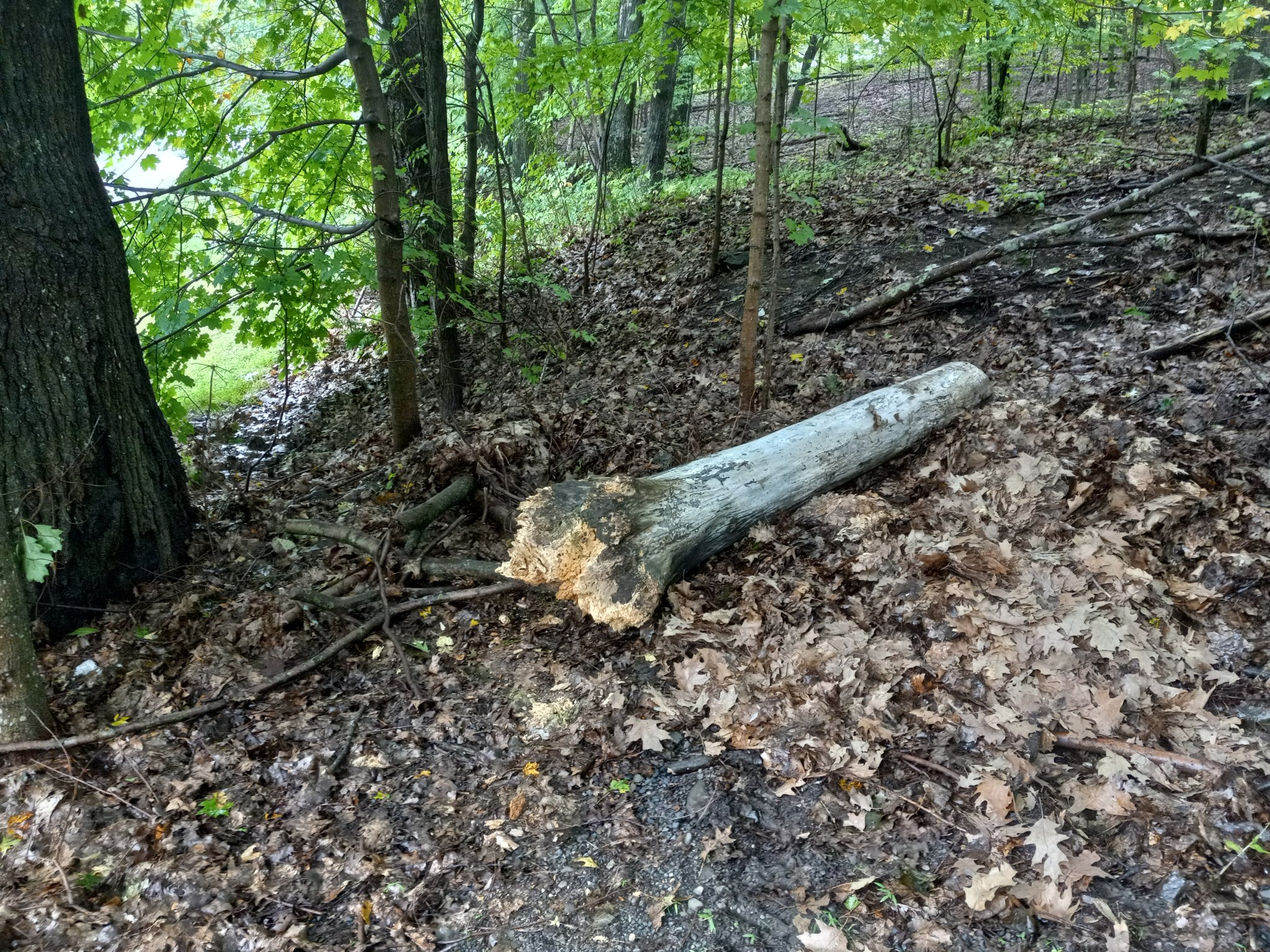 20220922_134014.jpg