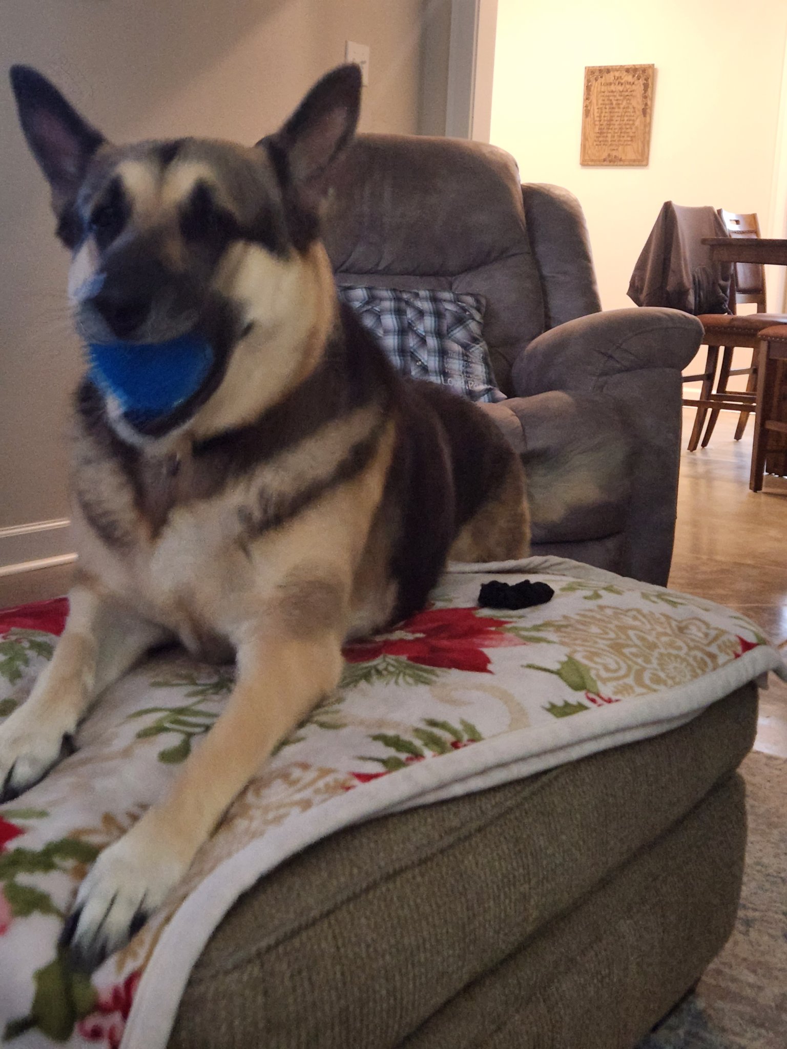 20221016_173559.jpg