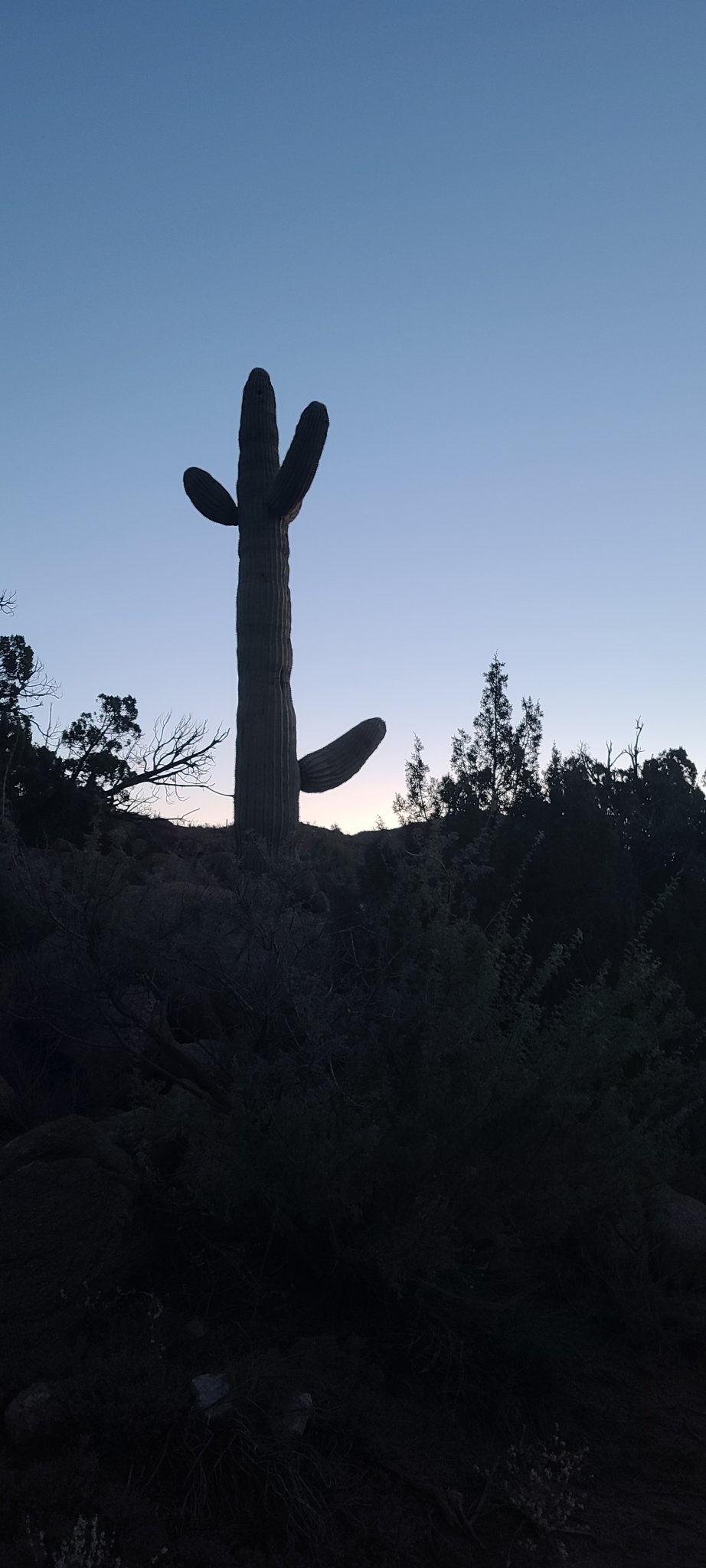 20221022_062607.jpg
