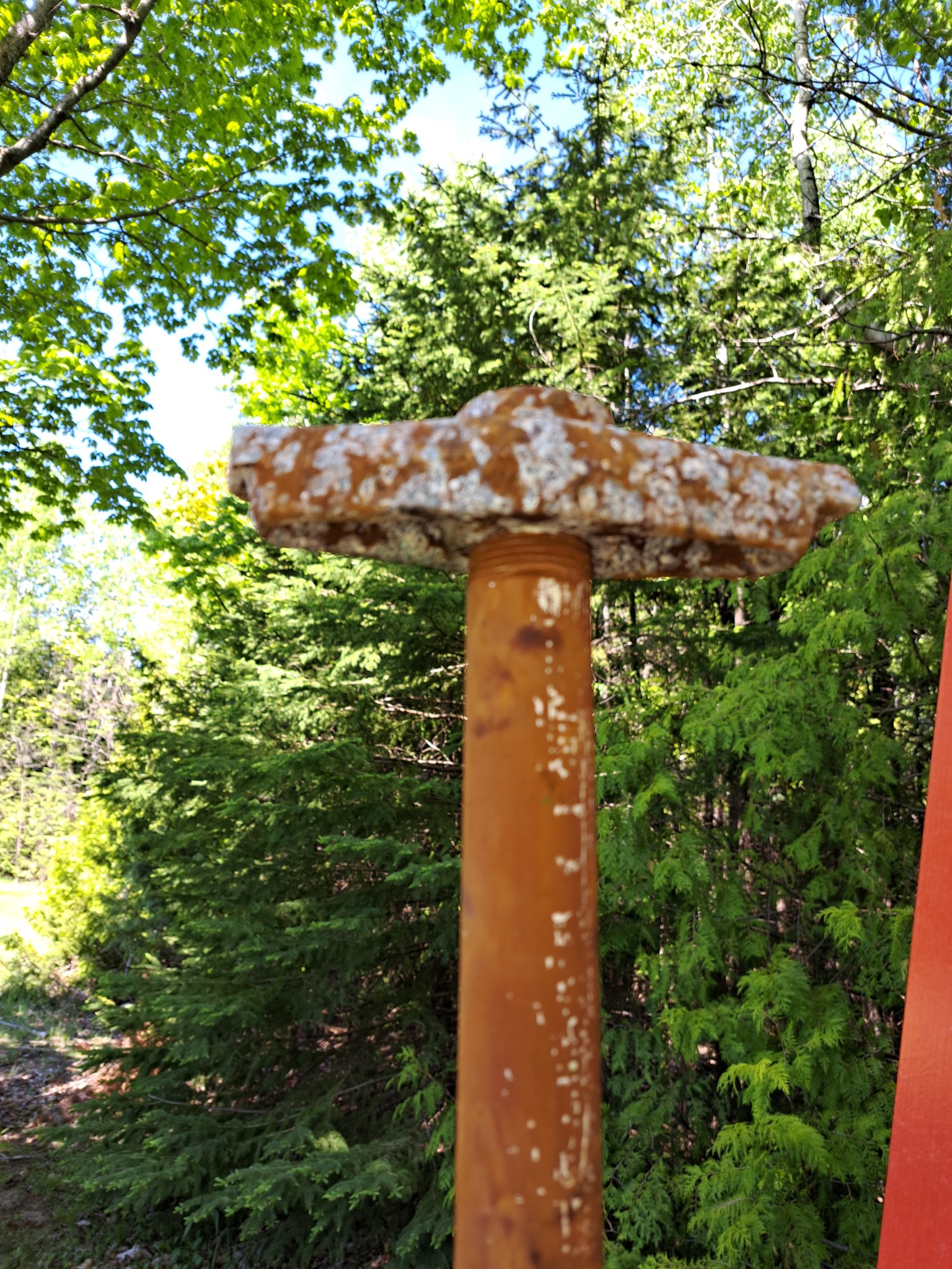 20230526_105913[1].jpg