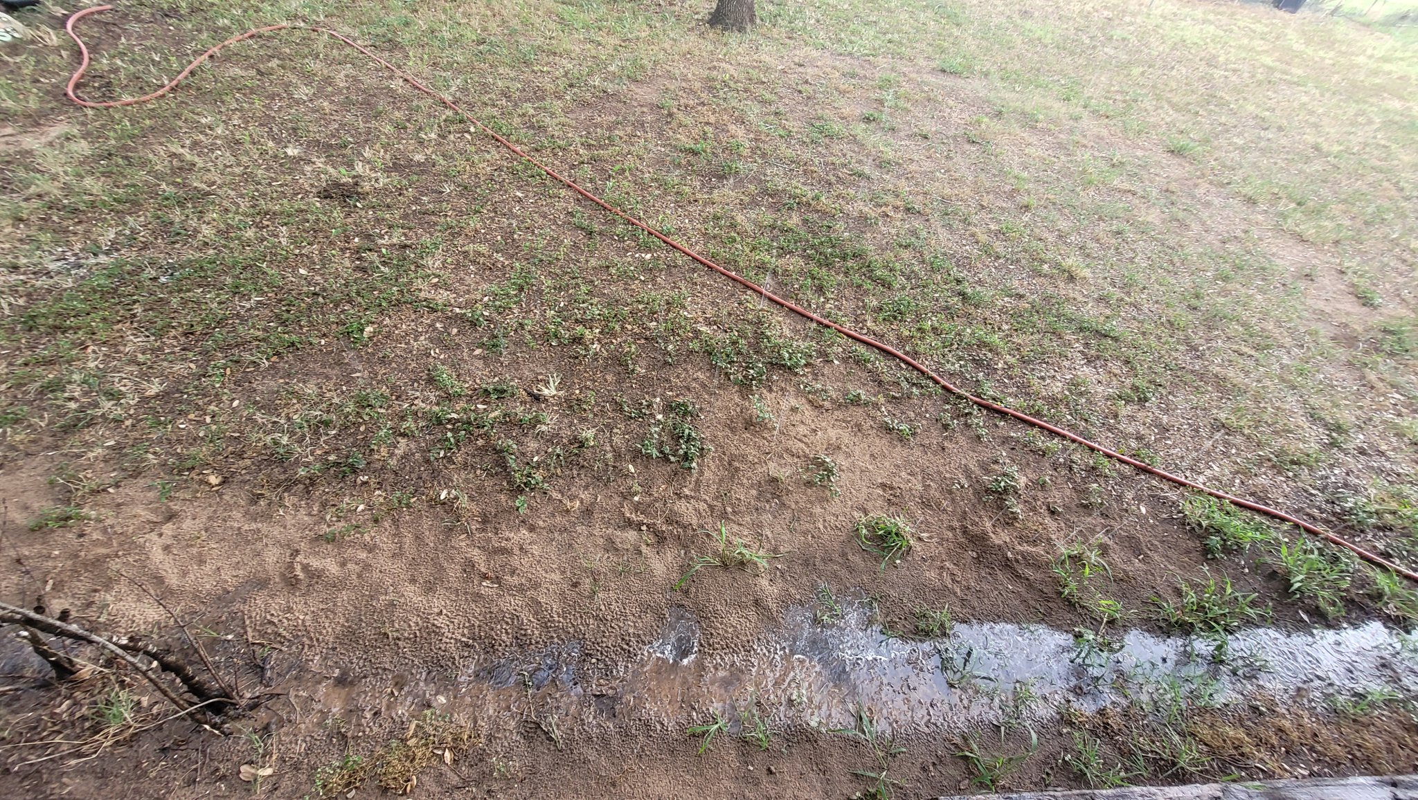 20230622_154310.jpg