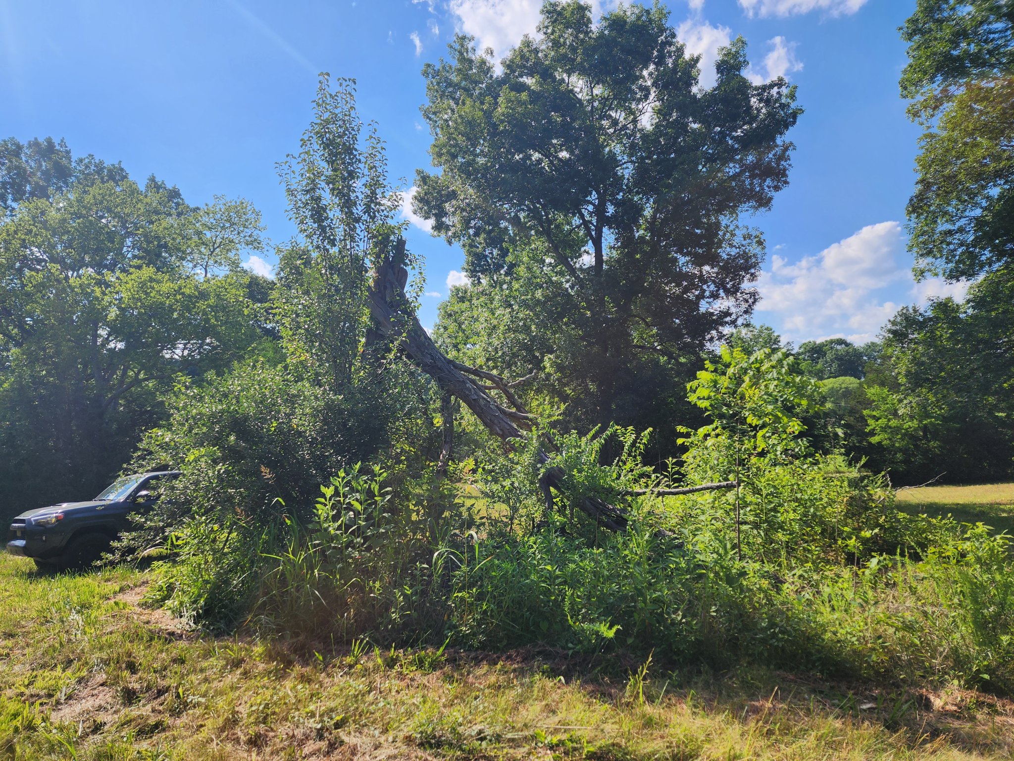 20230626_164245.jpg