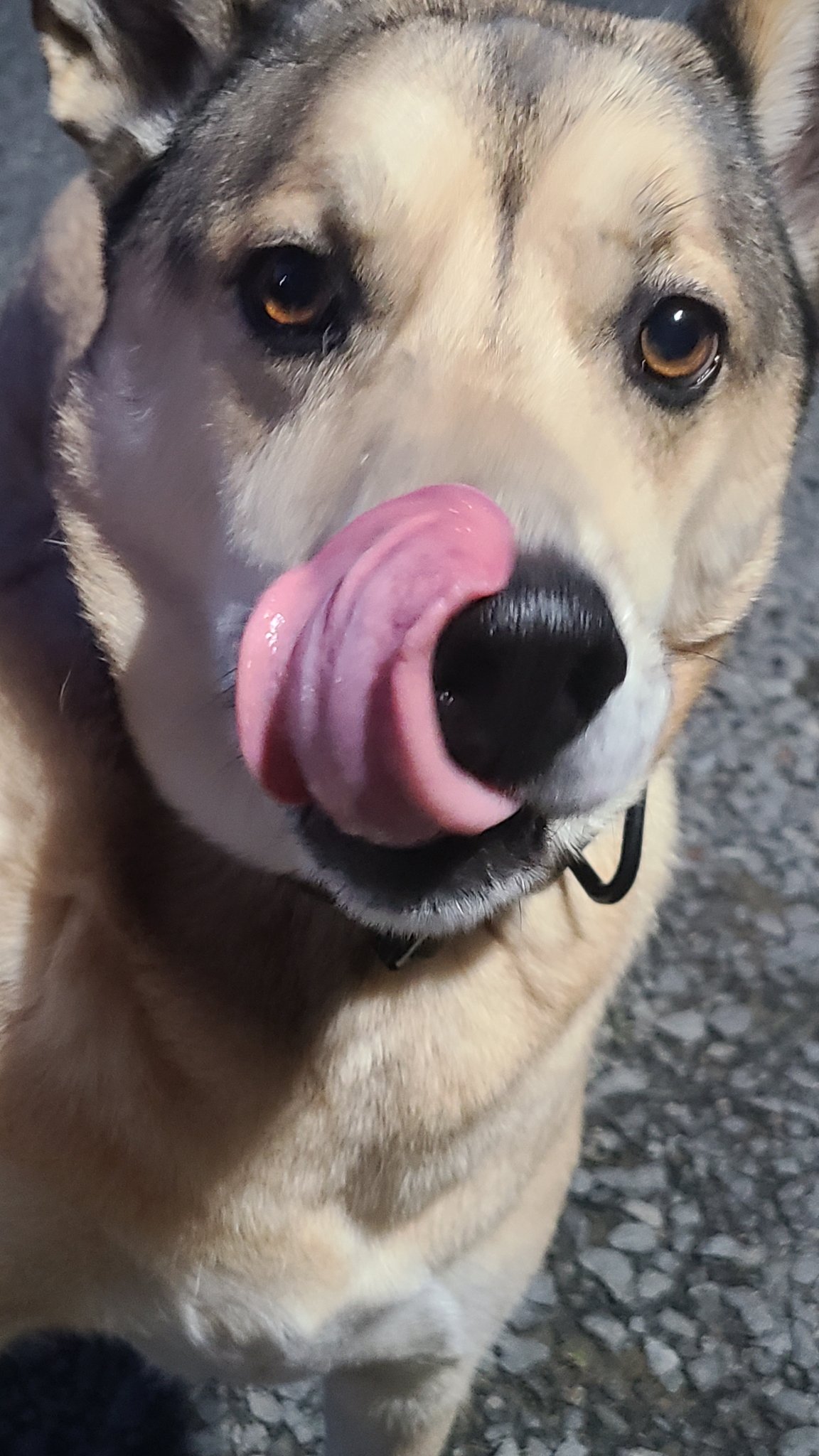 20230730_204901.jpg