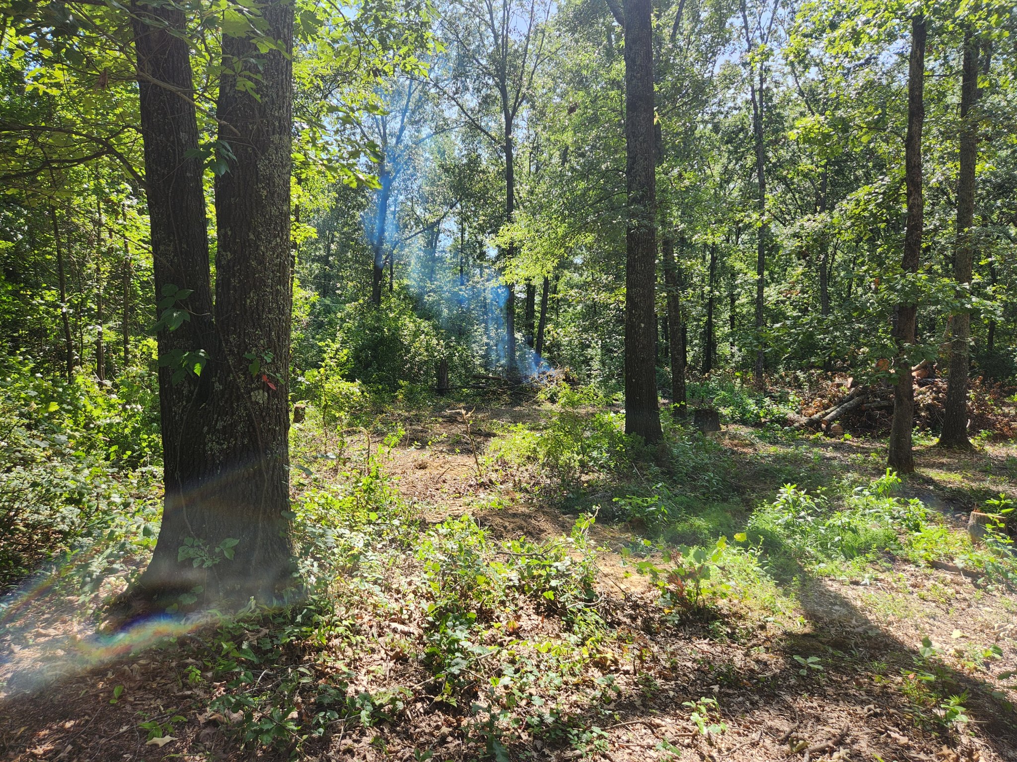 20230731_155906.jpg