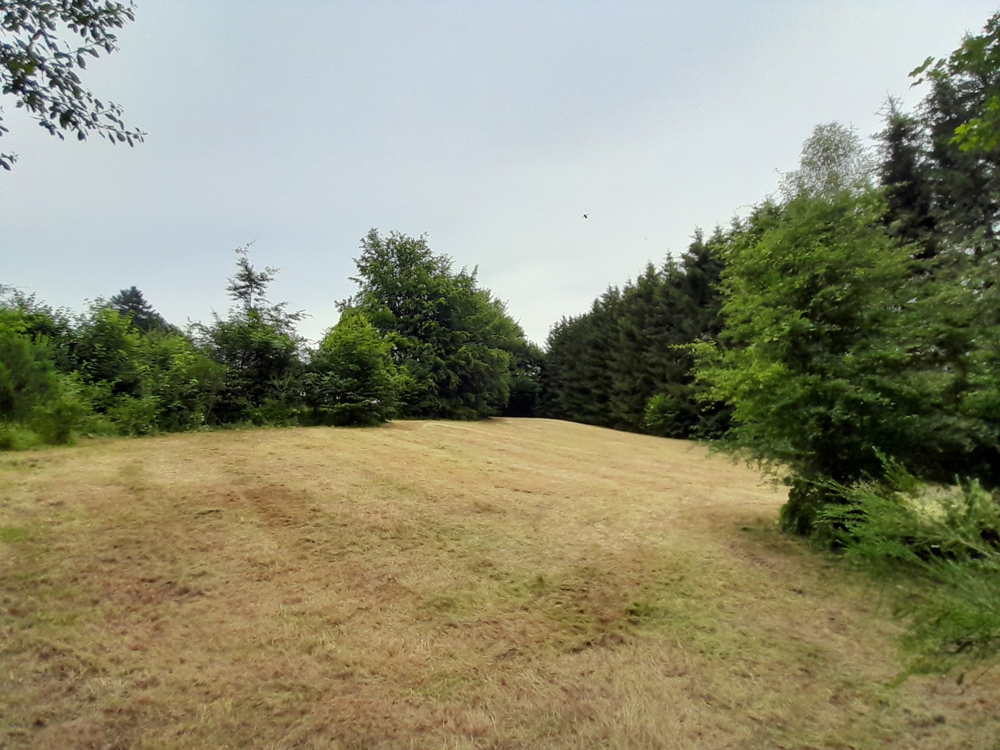 20240629_172452.jpg