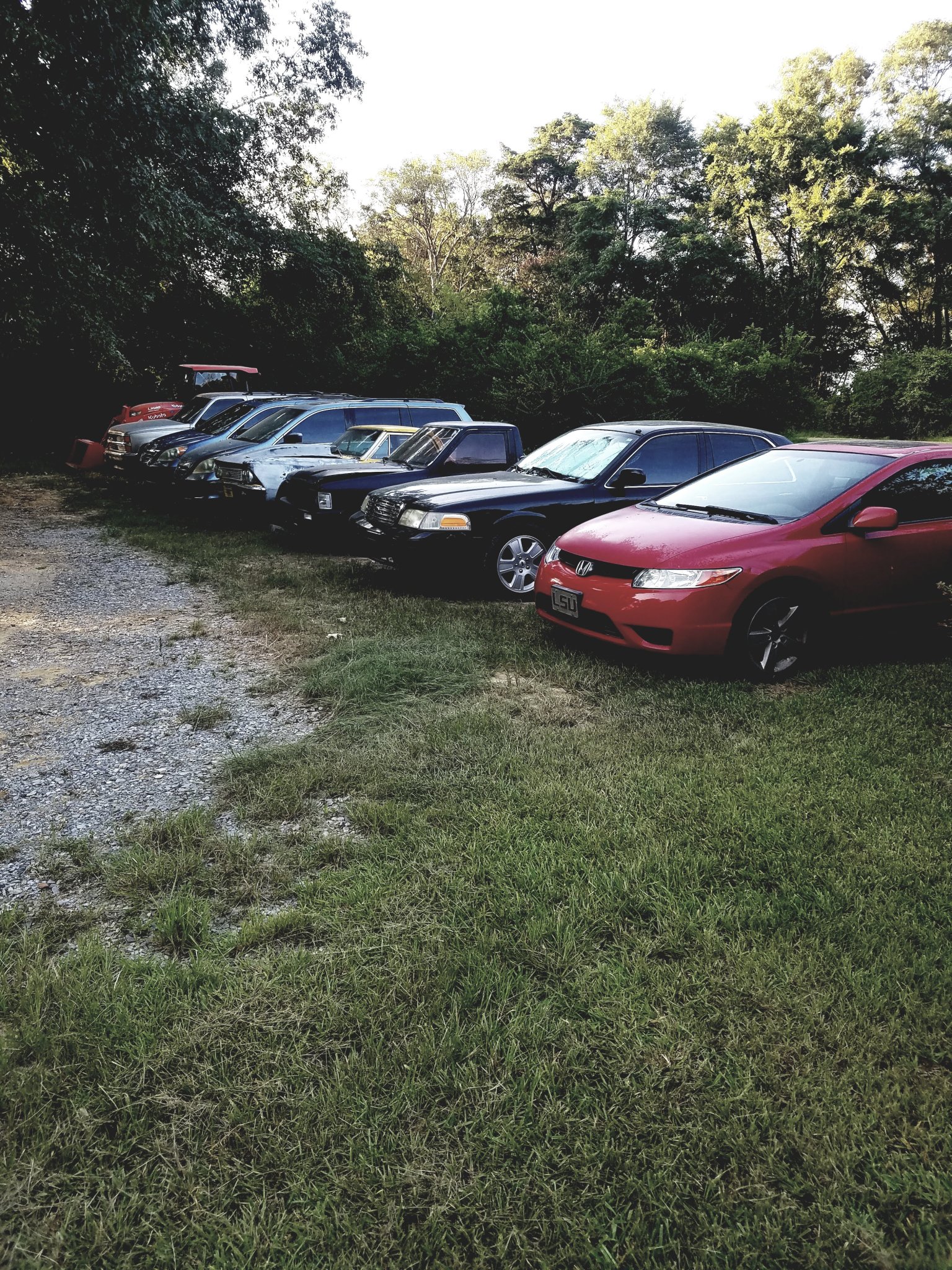 20240826_072633.jpg