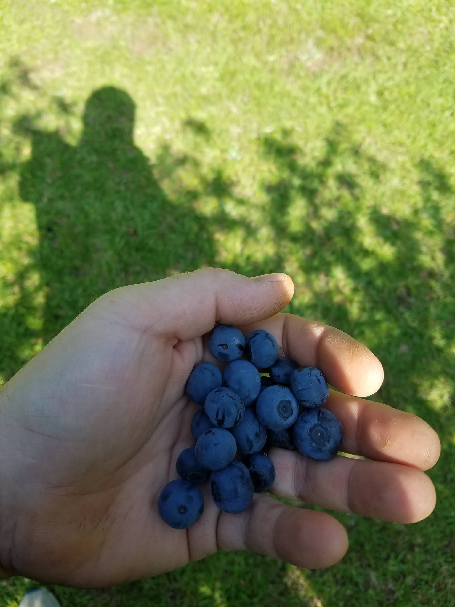 20250531_163536.jpg