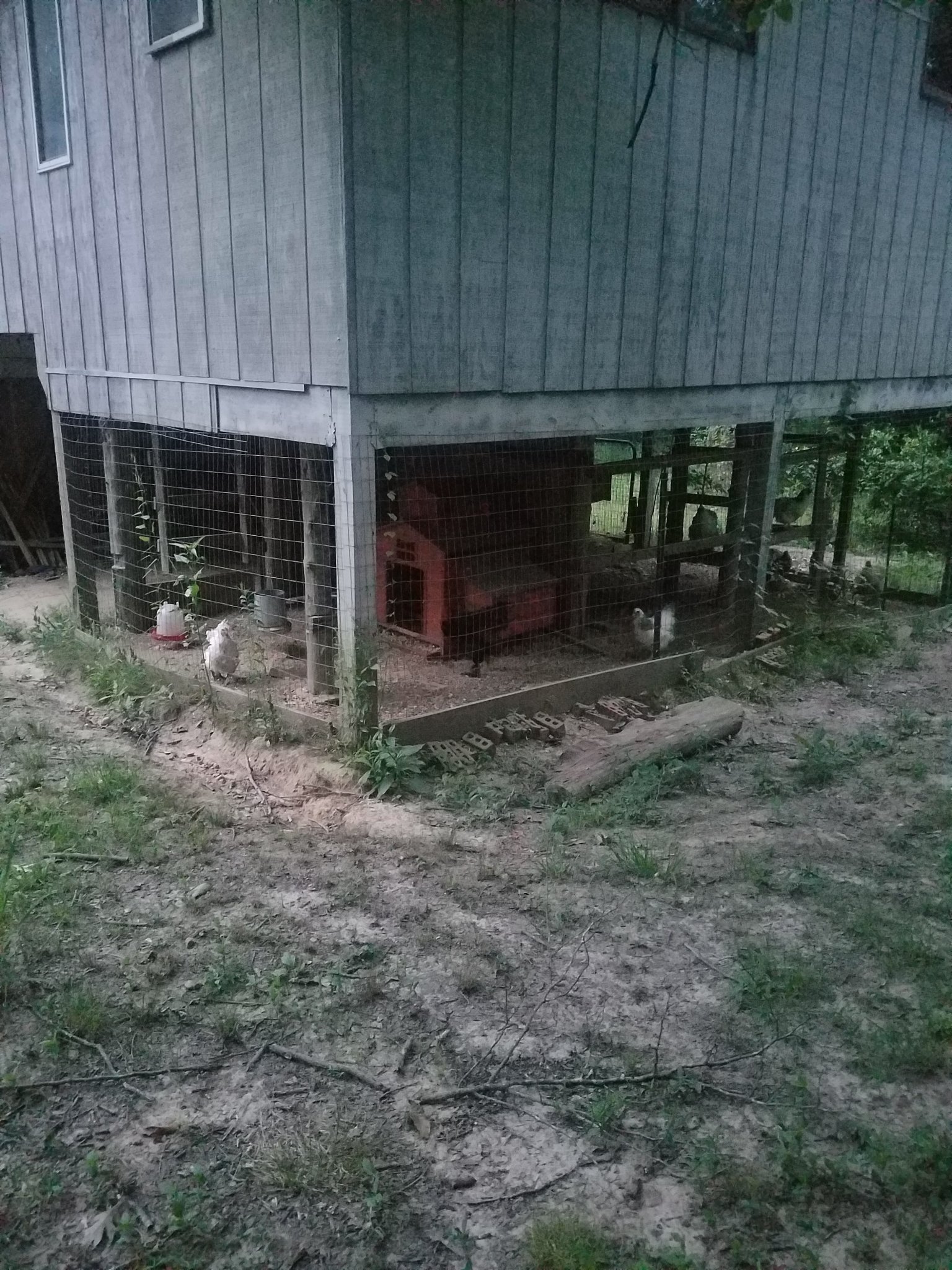 20250609_055657.jpg
