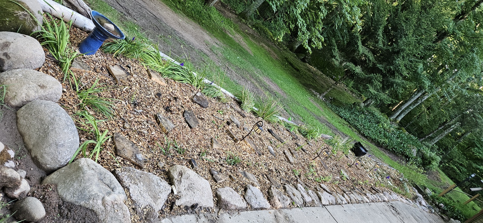 20250727_080242.jpg