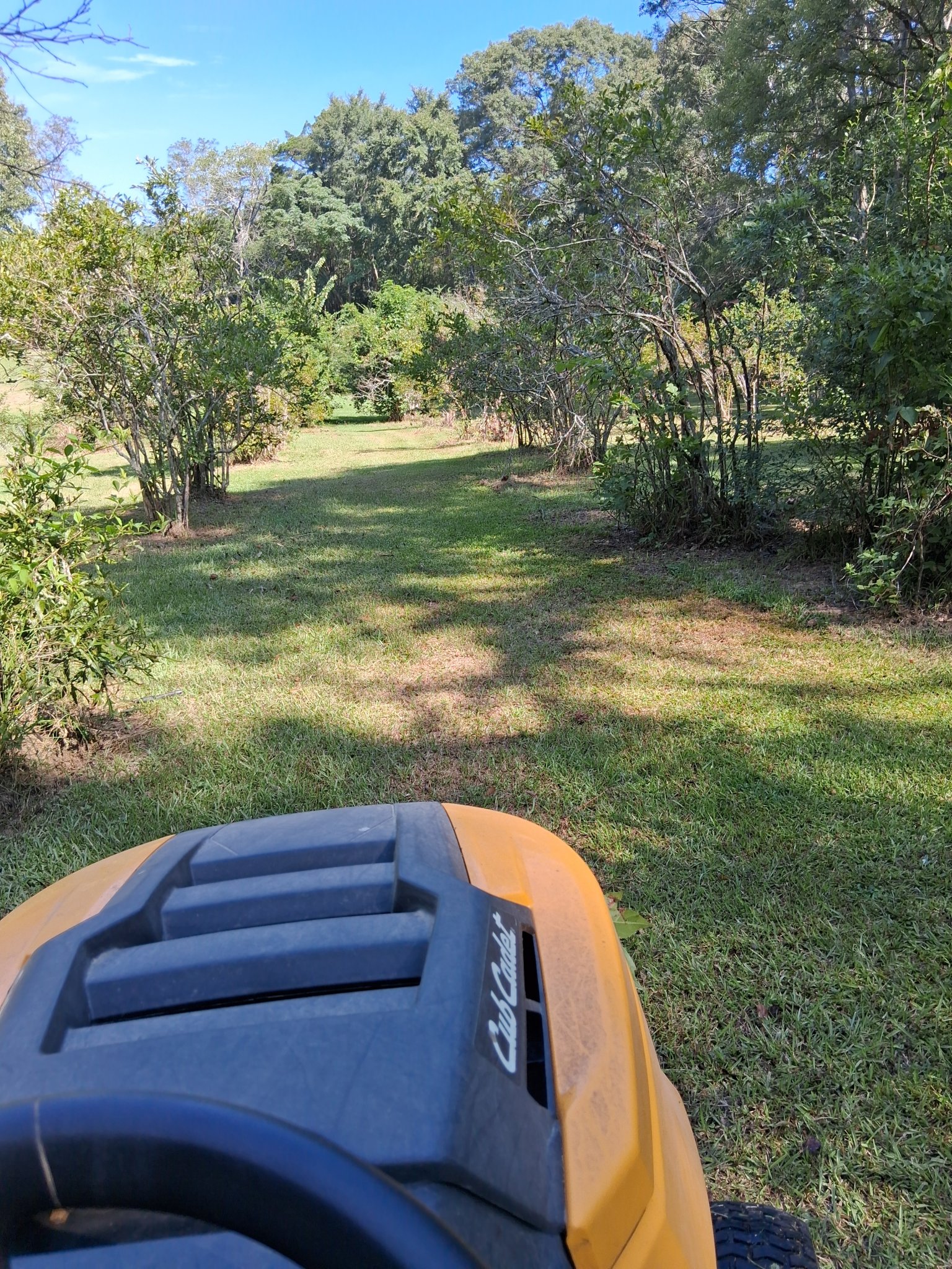 20250822_103140.jpg