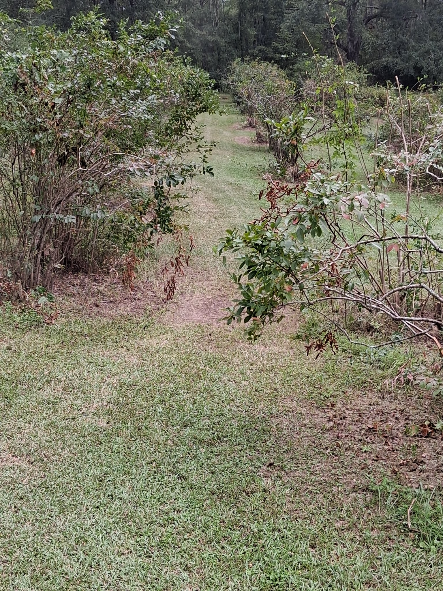 20250902_165353.jpg