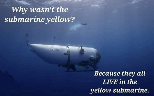 226282992_yellowsub.jpg.cf6ffd00c30a3ce55a4db5d05361038b.jpg