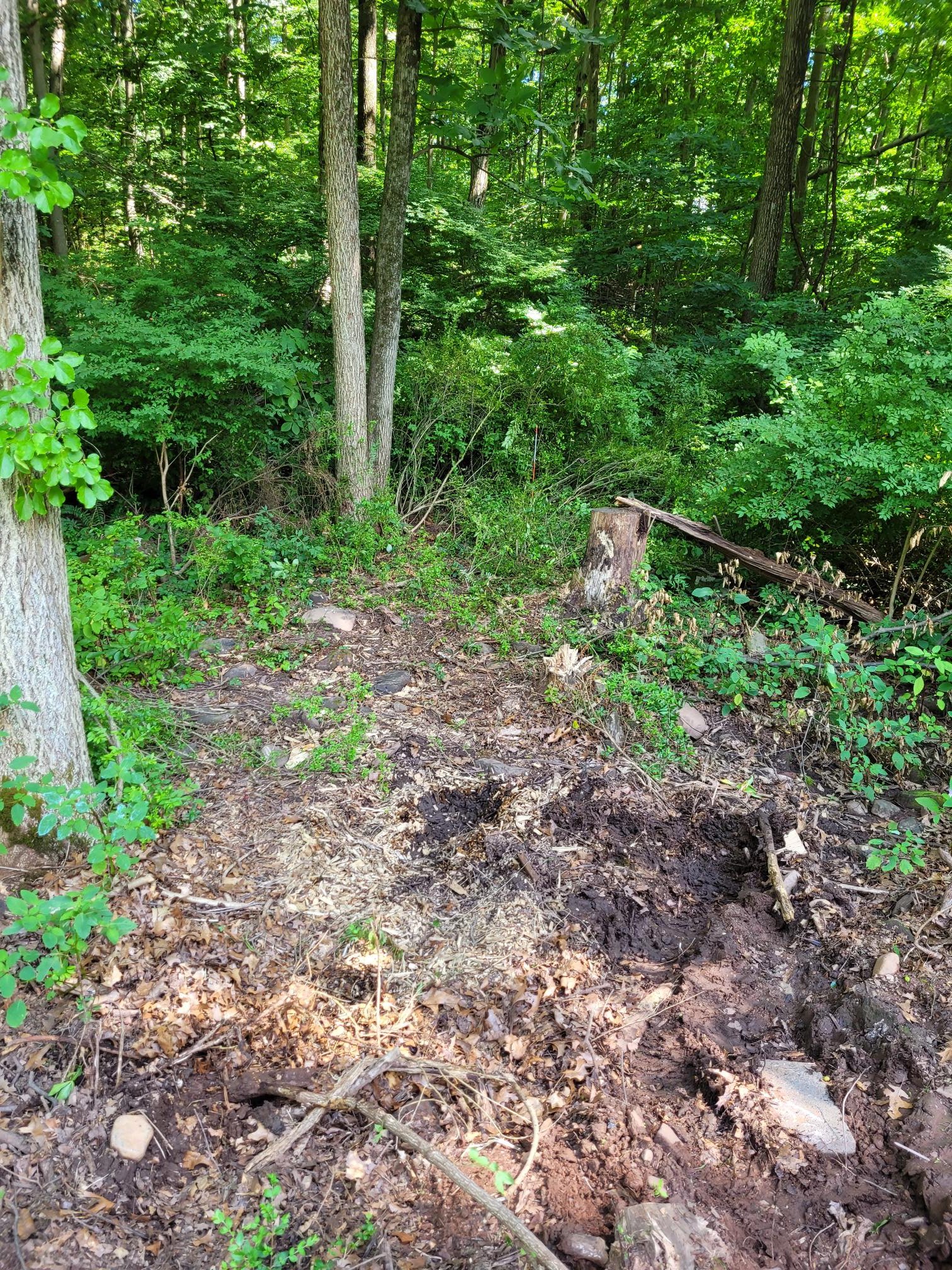 2nd ibeam location.jpg
