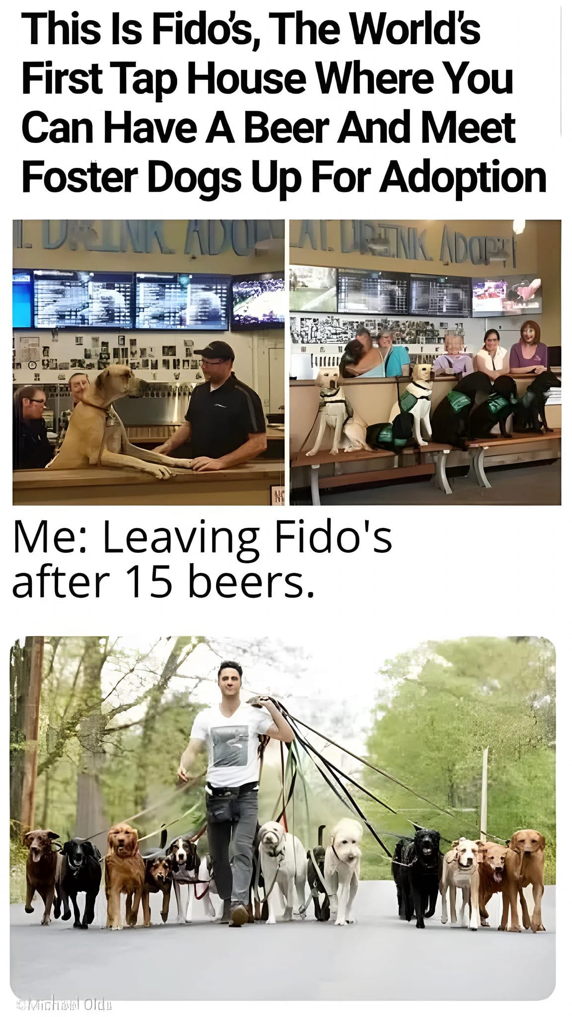 450191765_122163863684180877_6200904900424628679_n.jpeg