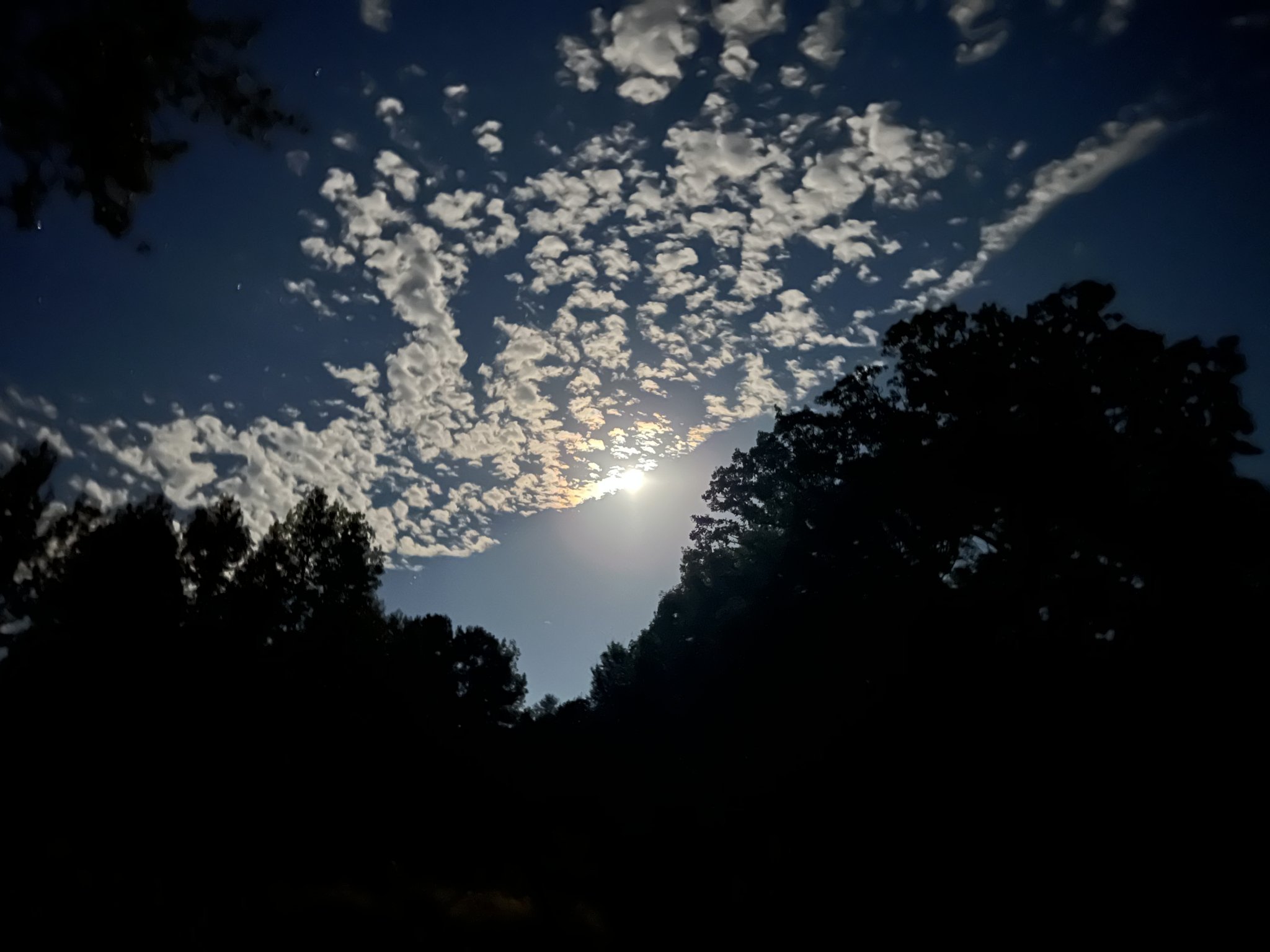 4A3079D4-9F57-4E6C-8EC5-F5F2044F9801.jpeg