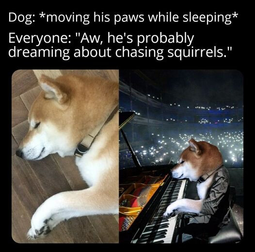 4EE152F8-B4DA-4393-B63F-9E959934C1A9.jpeg