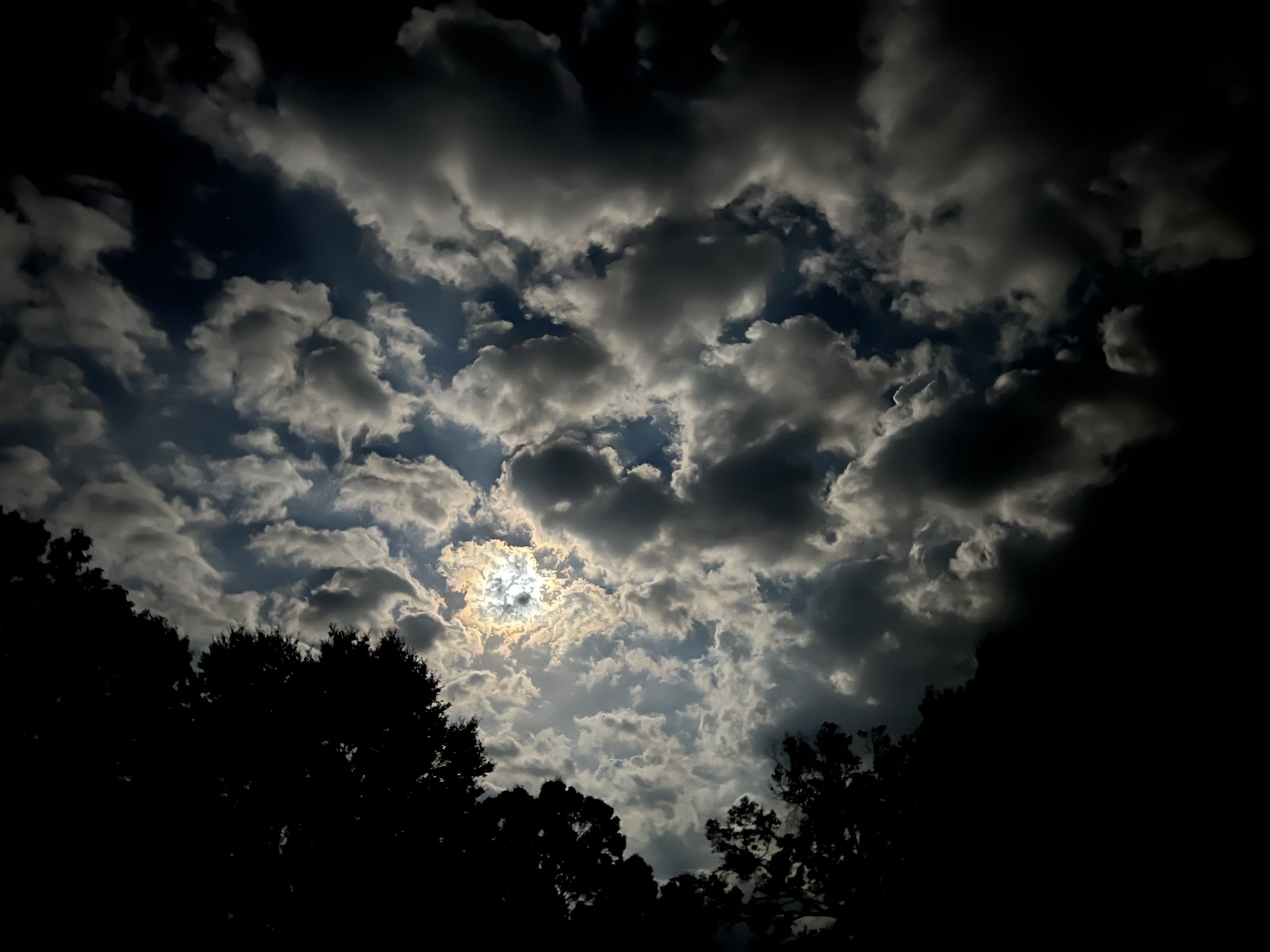 56989016-5C8A-456A-AE63-2274CE5C789E.jpeg