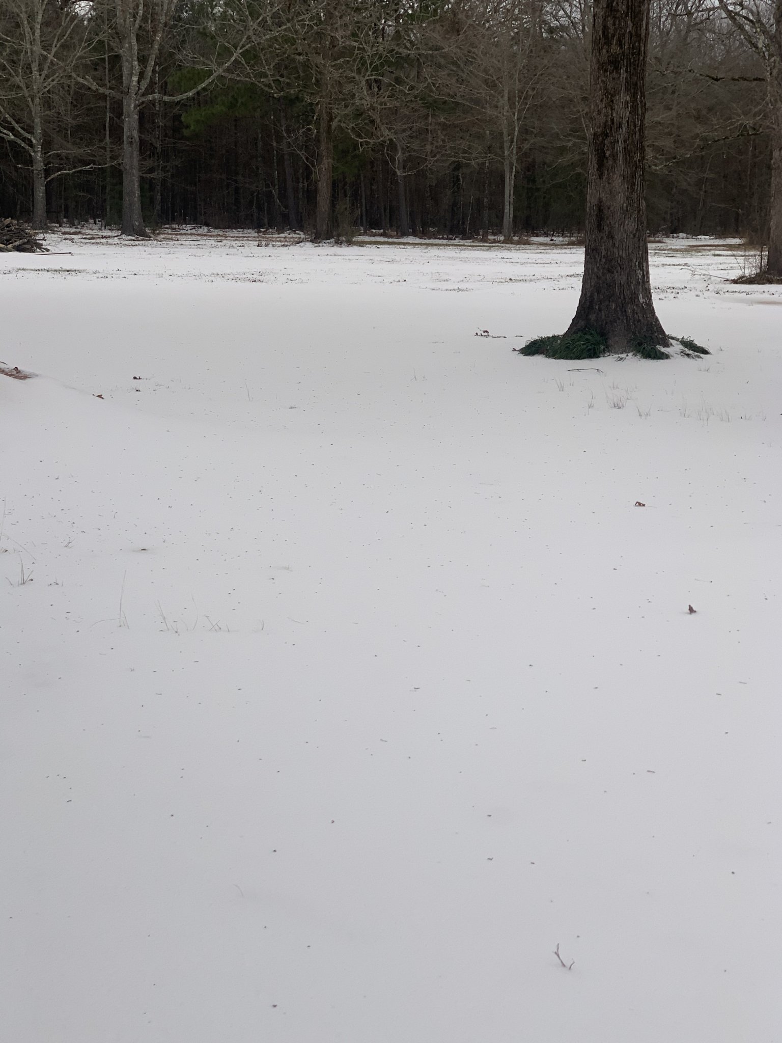 56F2894B-33E8-4286-B310-3E6B3F8B3B94.jpeg