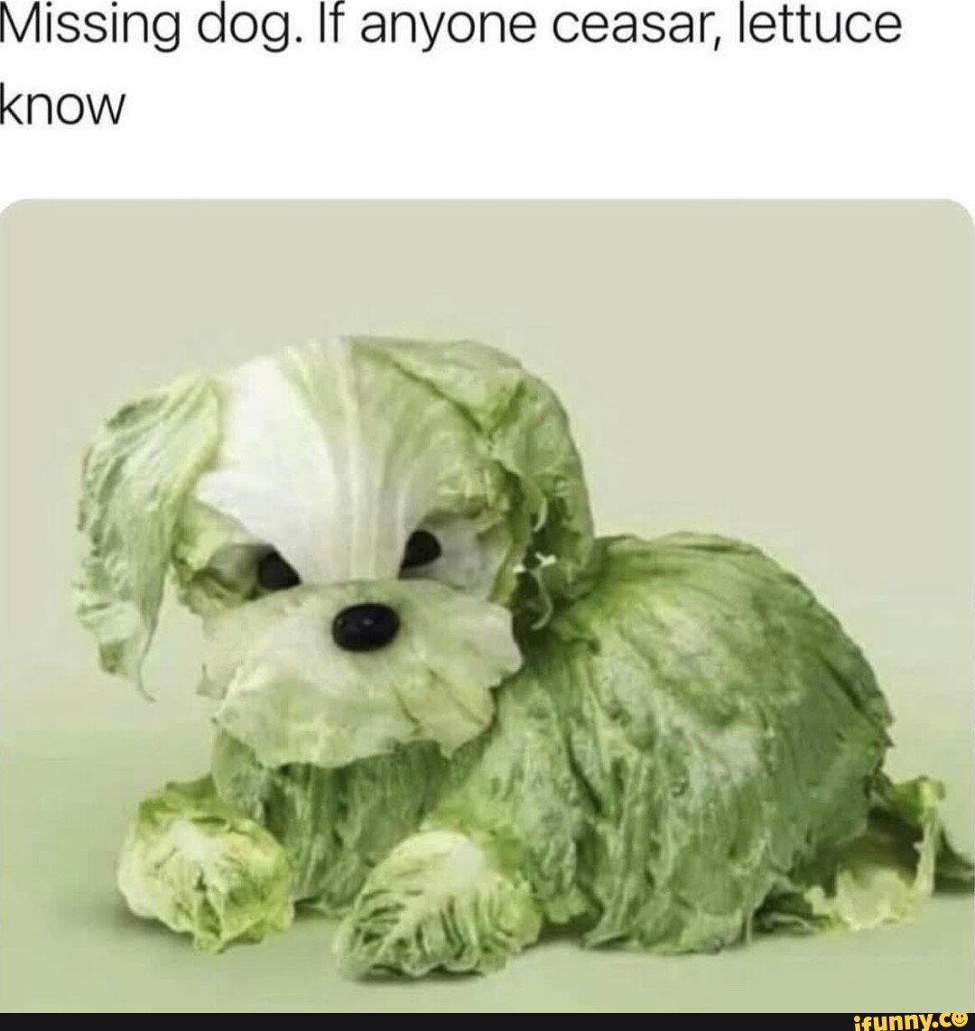 84c462837379c7391d3c5d0e784567b67ac8016ad2f1e01eb2b4a8f690500b94_1.jpg.jpg