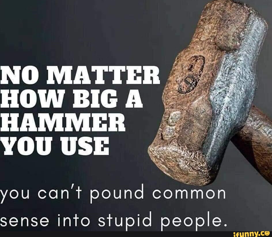 9874b58b4fae8616dc1226883c0de3b23785f075ea320bbf48dceaa6ef121327_1.jpg.jpg