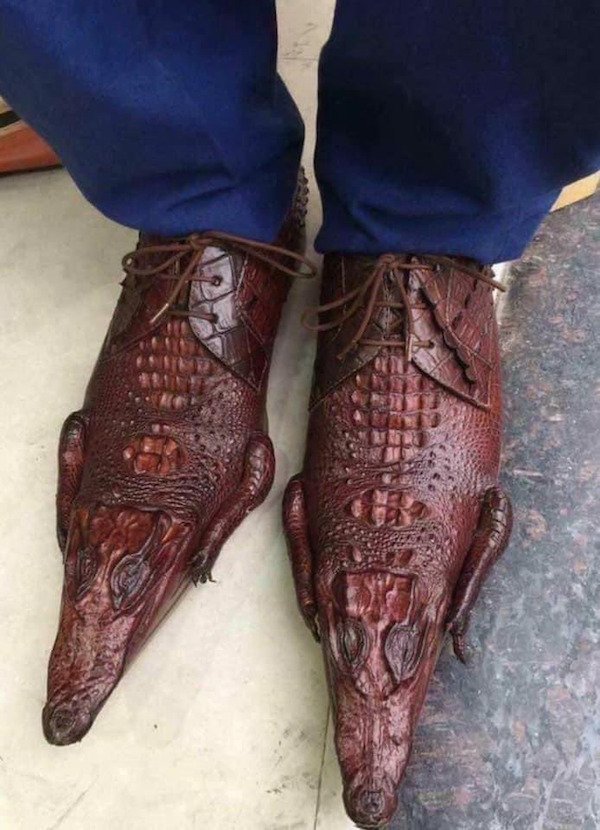 aligator shoes.jpg