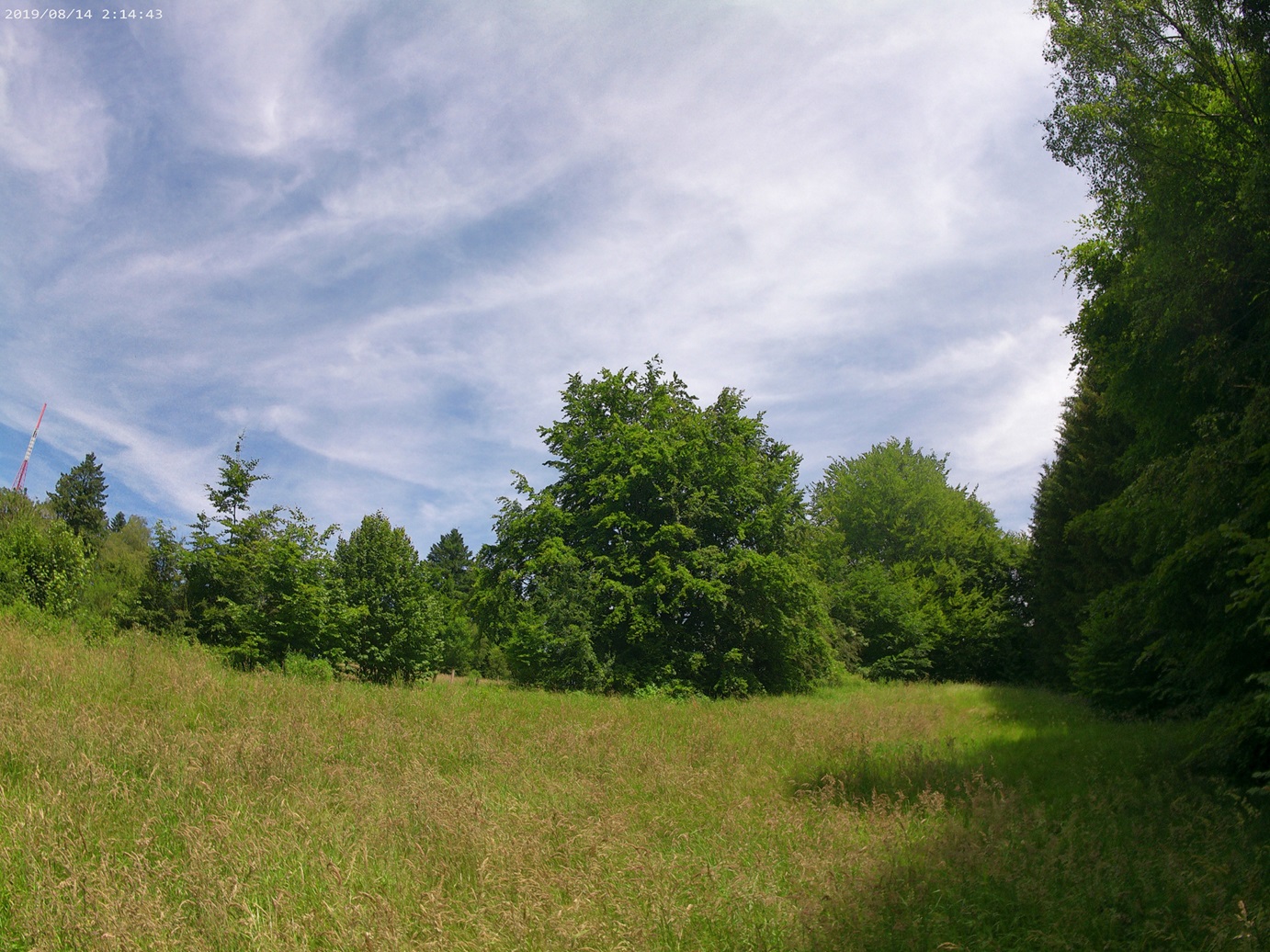 ANMP0094.jpg