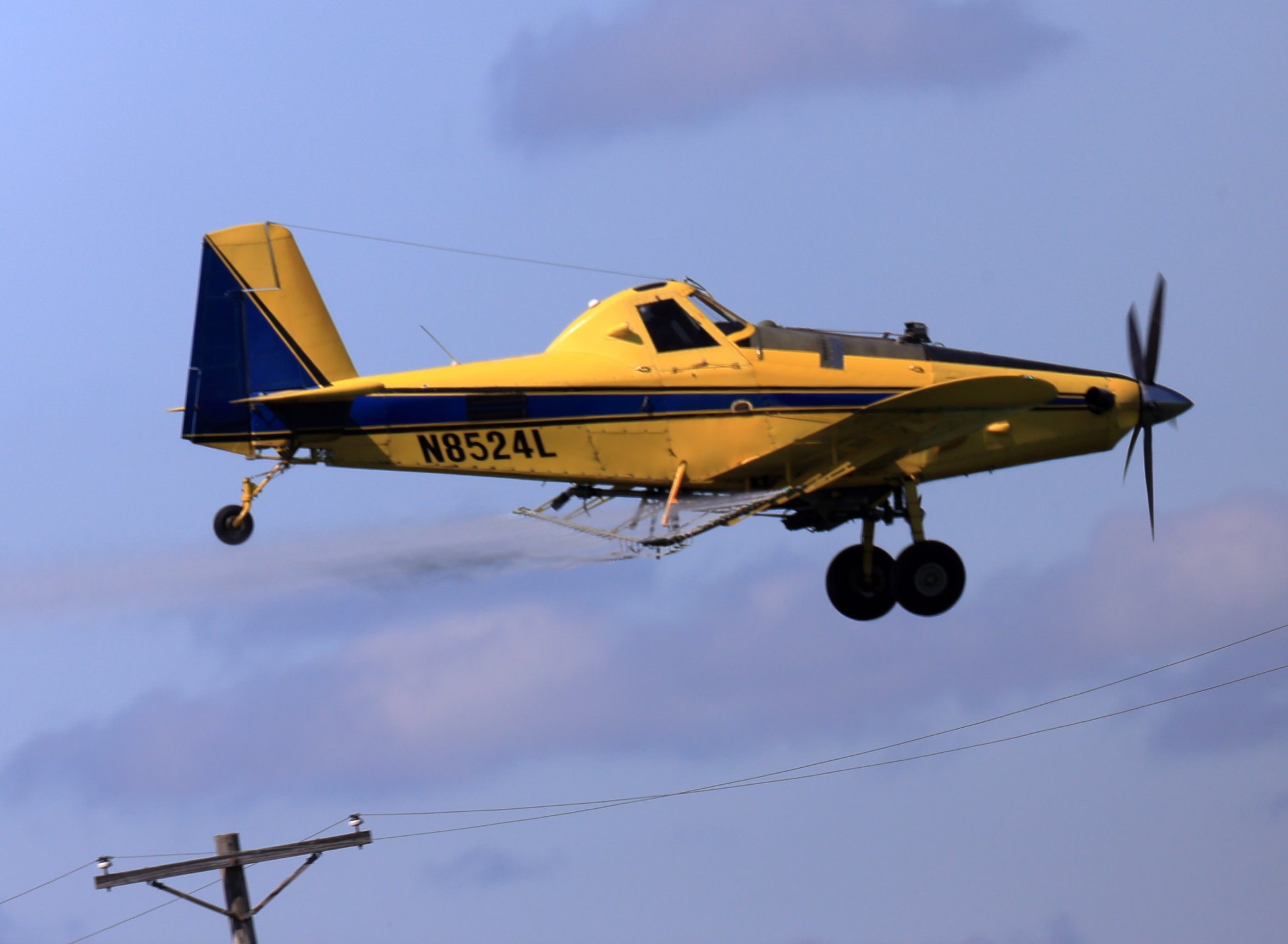 AS0I8708.jpg
