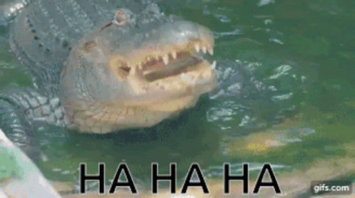 BE23D2CF-9CD0-40F6-9282-E596AB74FC01.gif