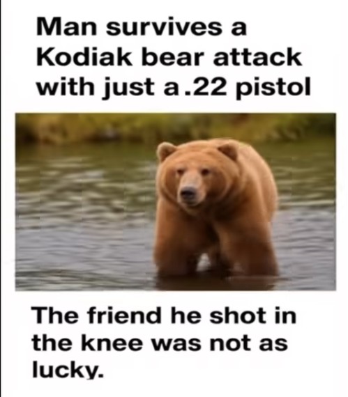 bear attack.jpg