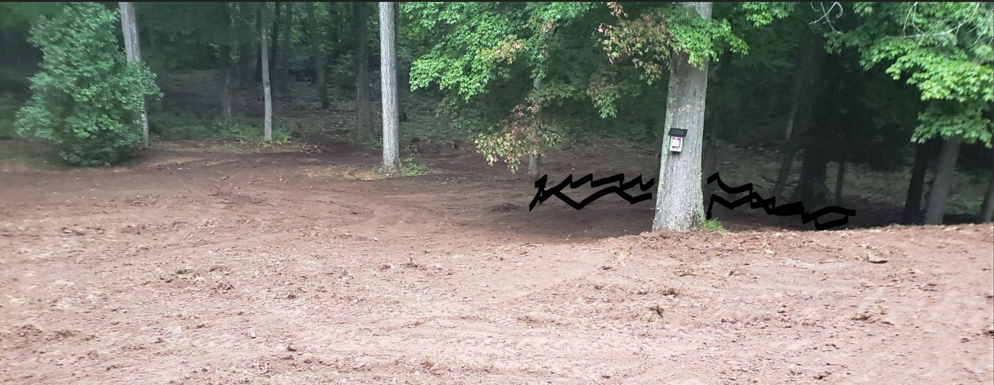 berm_gone_edit.JPG