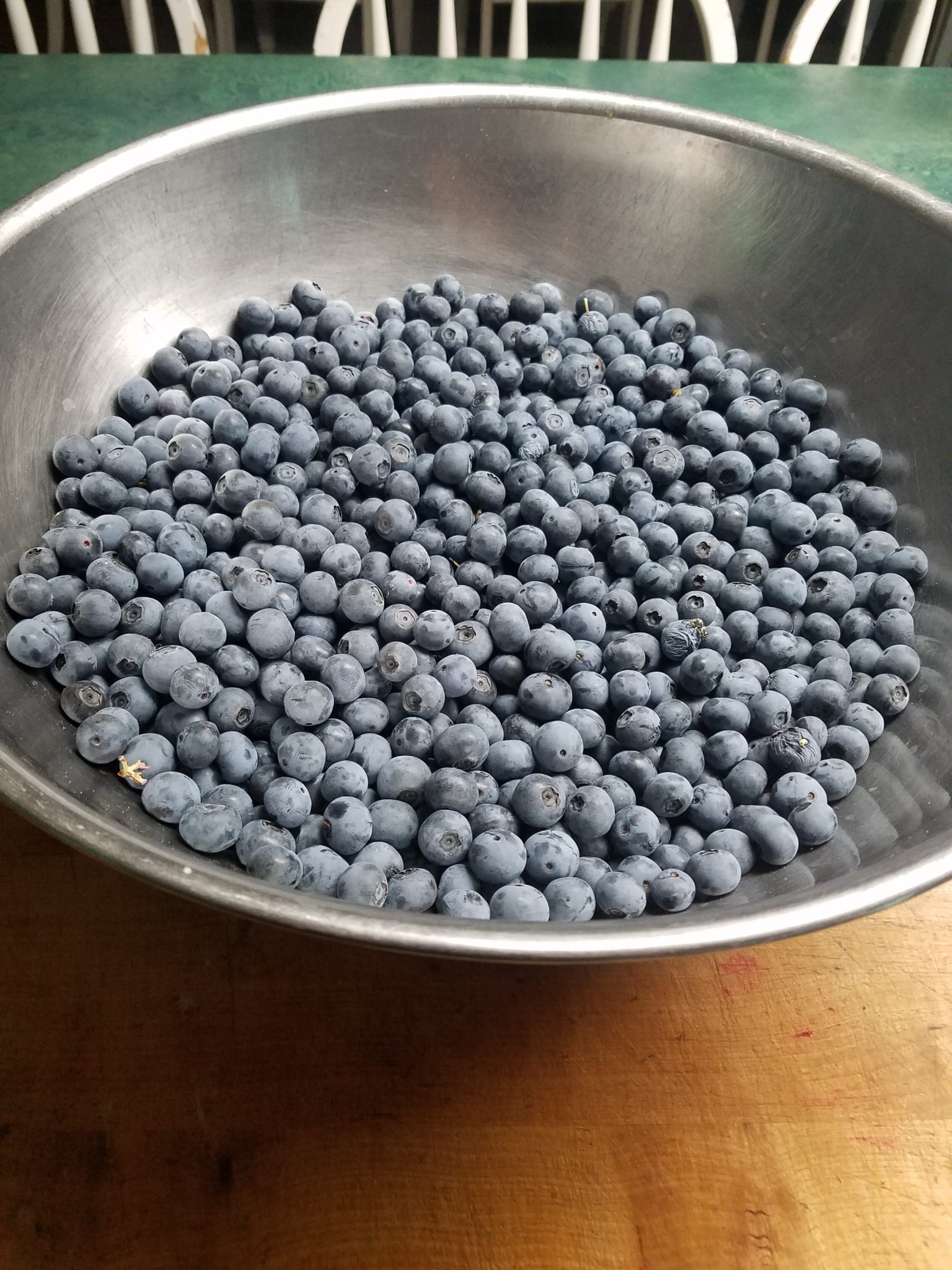berries.jpg