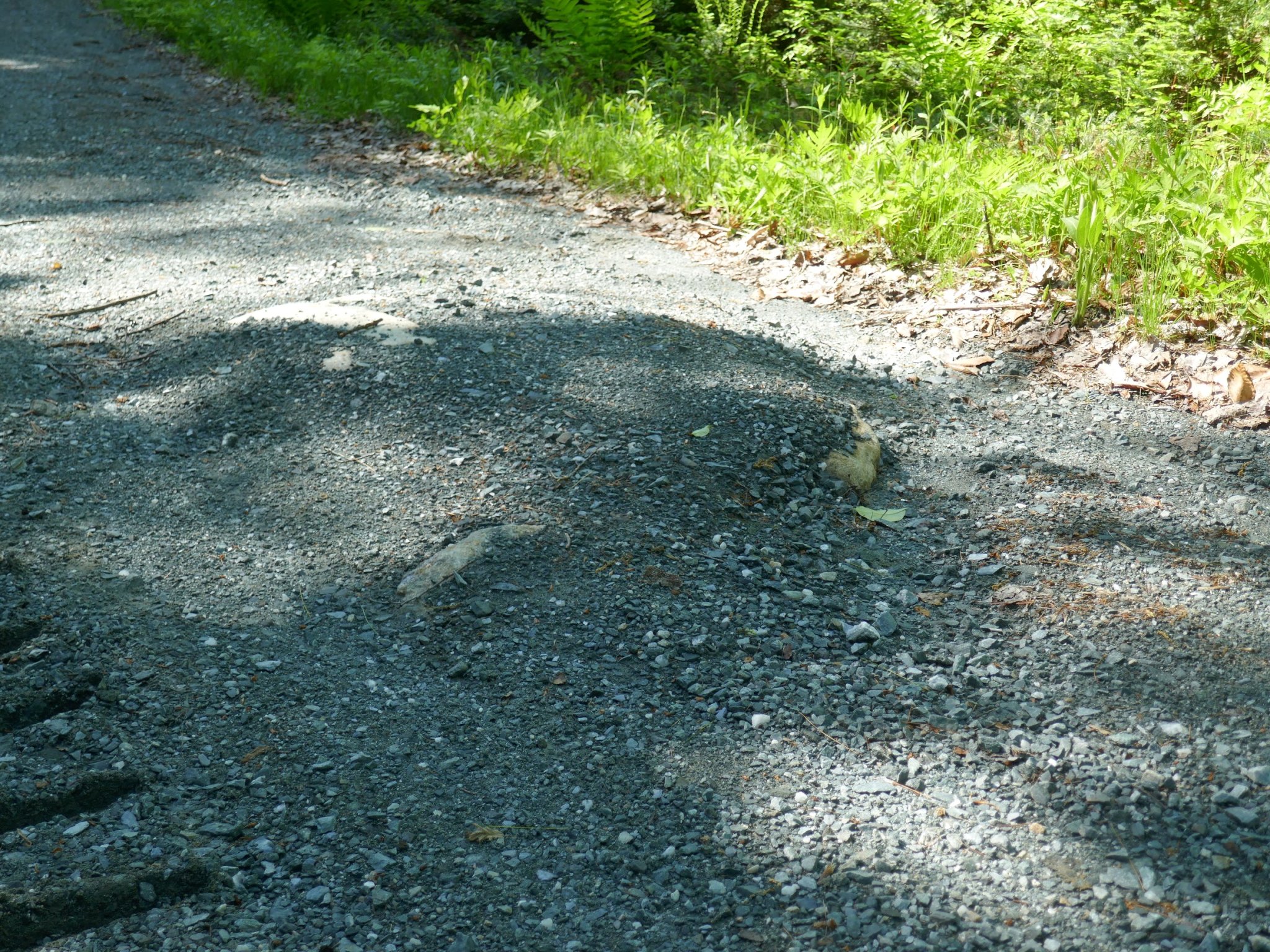 BigRoadRock-1.JPG