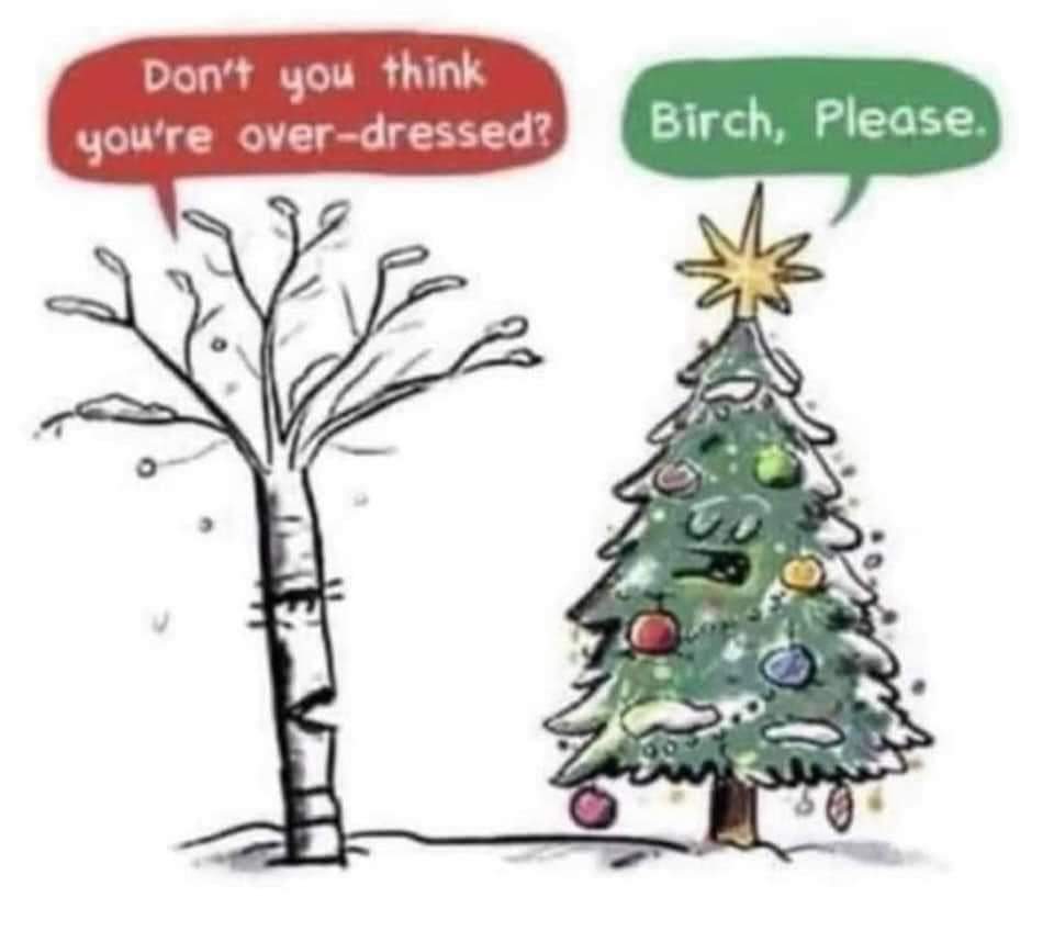 Birch Please.jpg